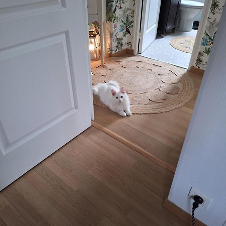 Chambre Climatisee Au Coeur De Brive Avec Televiseur Connecte Wifi Netflix Екстериор снимка