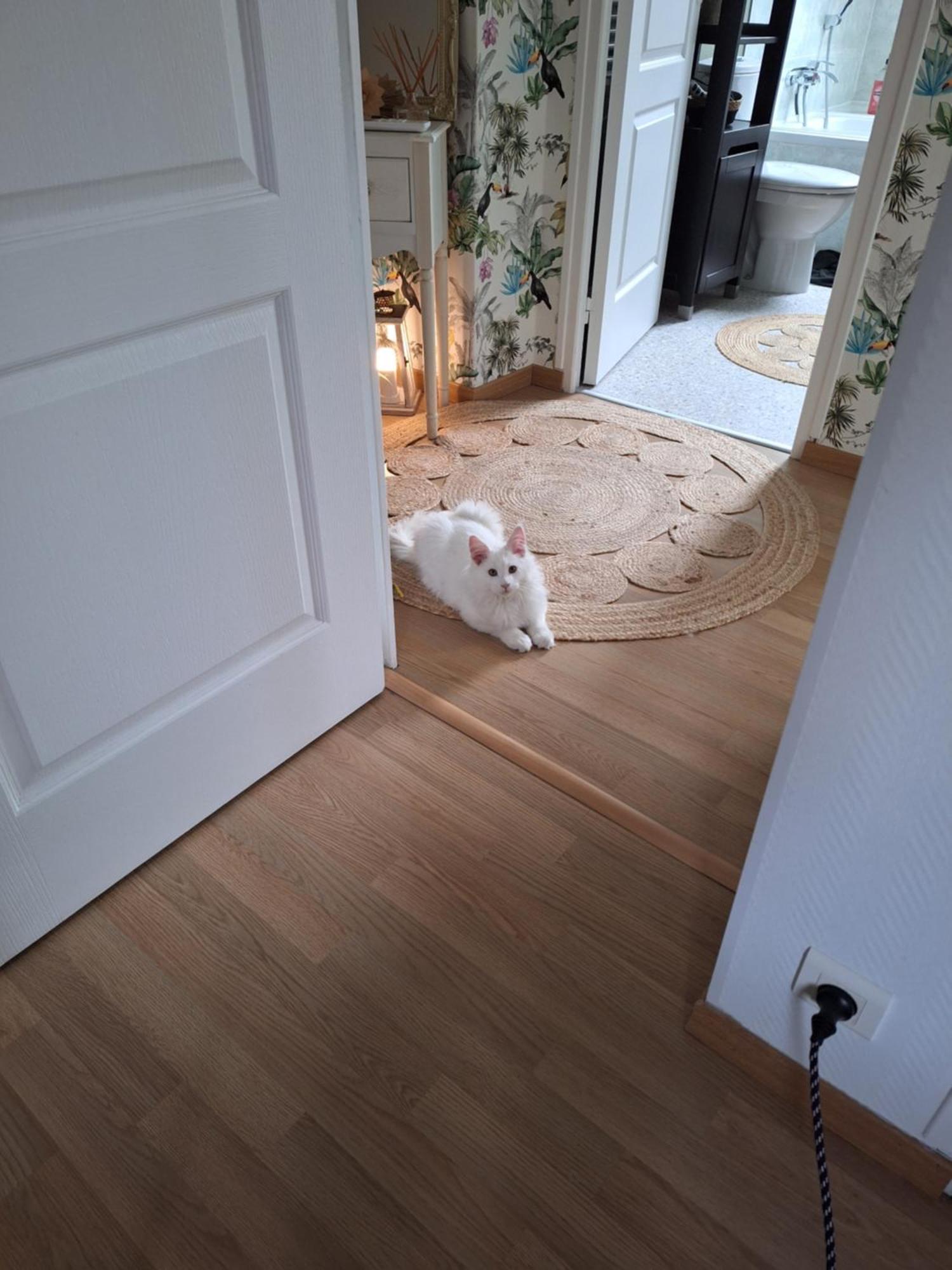Chambre Climatisee Au Coeur De Brive Avec Televiseur Connecte Wifi Netflix Екстериор снимка